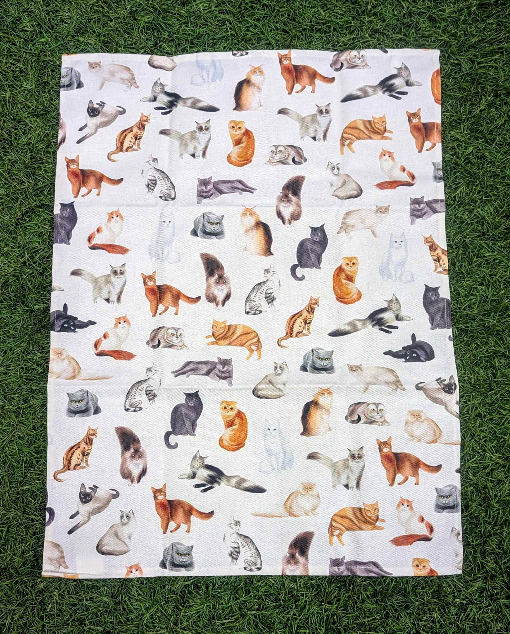 Linge à vaisselle 100% coton - Les Chats